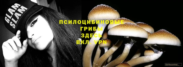 твердый Снежногорск