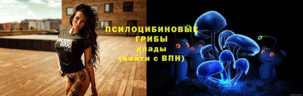 твердый Снежногорск