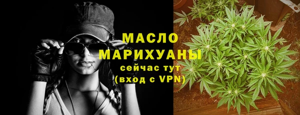 твердый Снежногорск