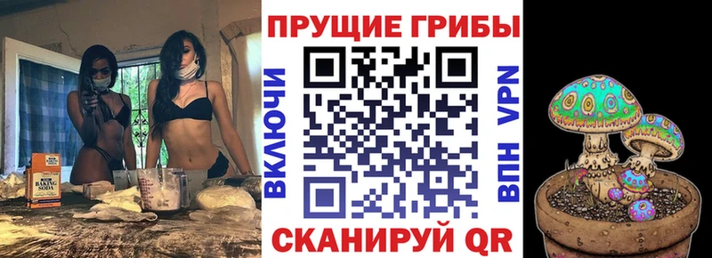 Купить закладки Себеж Псилоцибиновые грибы Psilocybine cubensis